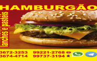 logo hamburgão