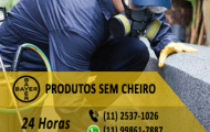 Maximos Dedetizadora / Empresa Especializada em Controle  de Pragas - +551125371026