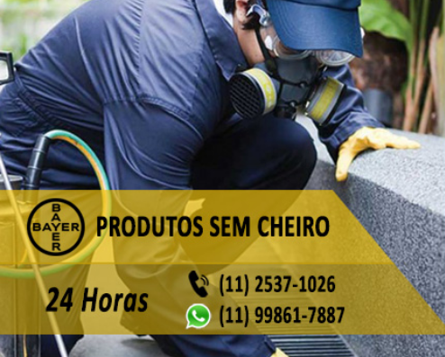 Maximos Dedetizadora / Empresa Especializada em Controle  de Pragas - +551125371026